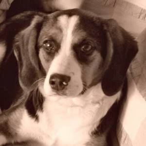 Meet your Posher, Janet